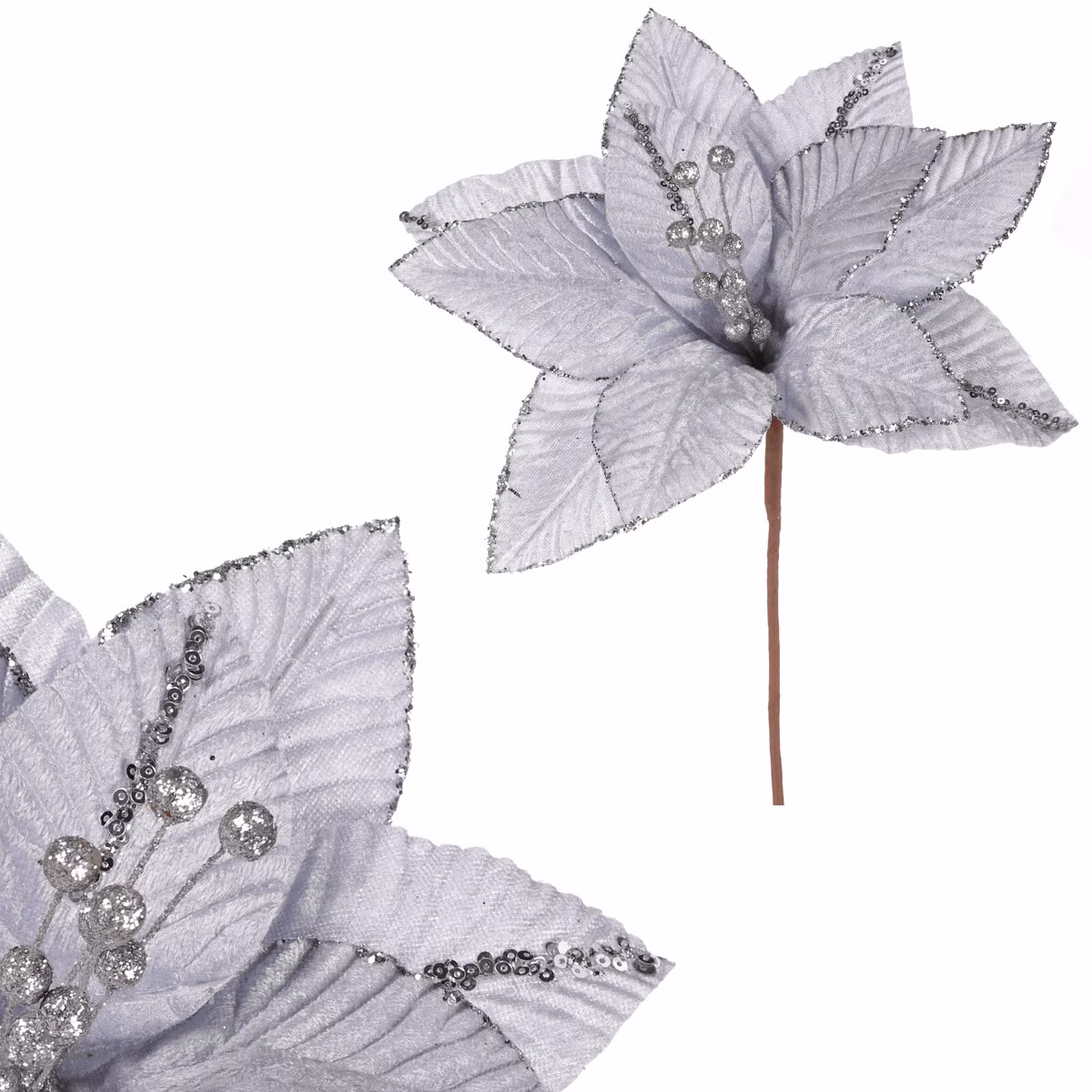 111933d576a4b9a95d766f3037606467