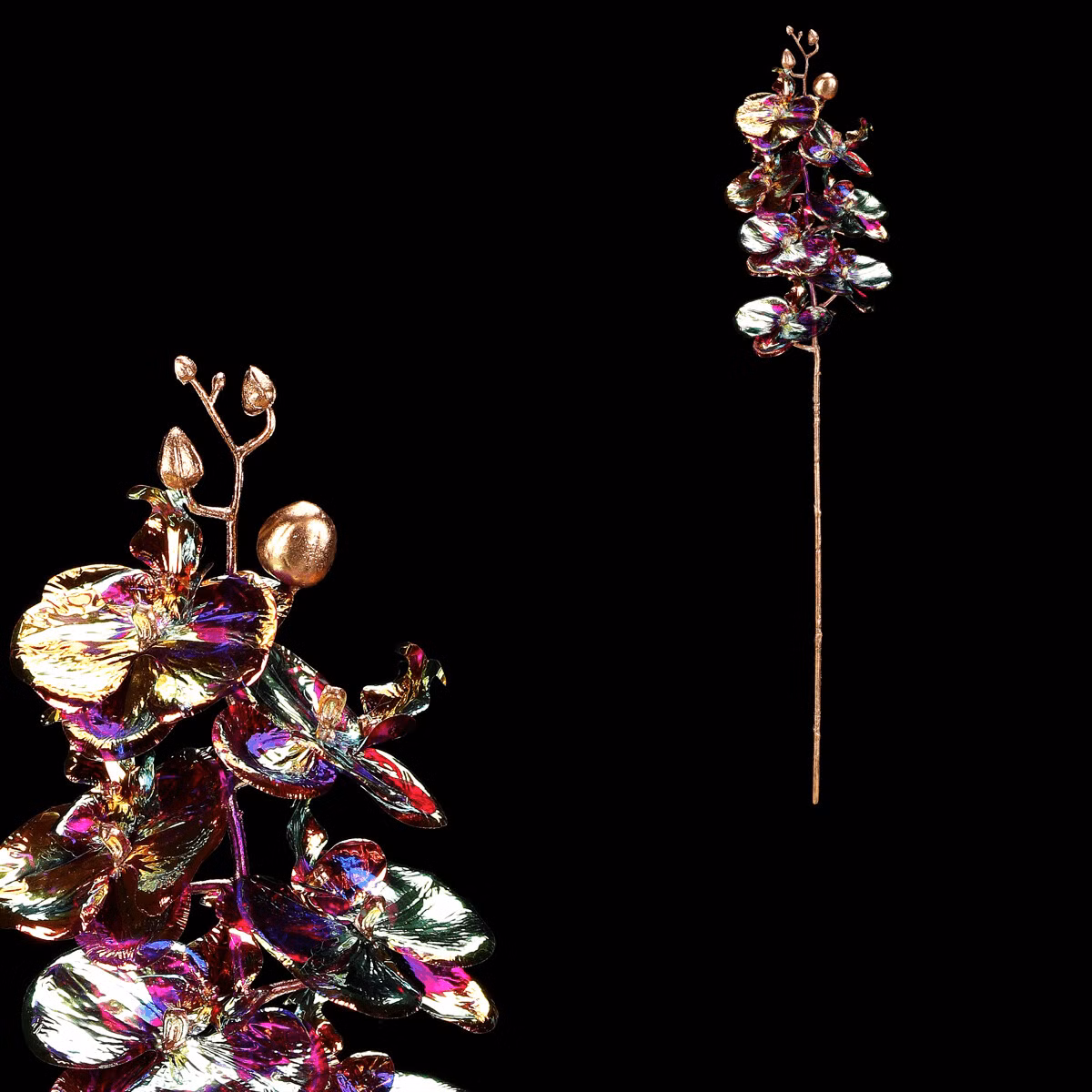 1156b277b9f0ec12834d5c47d9a9c476