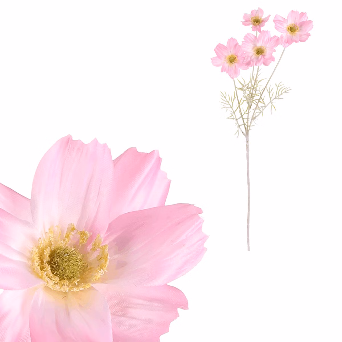 11f027c0d3a4782369edf0f662b38f6f