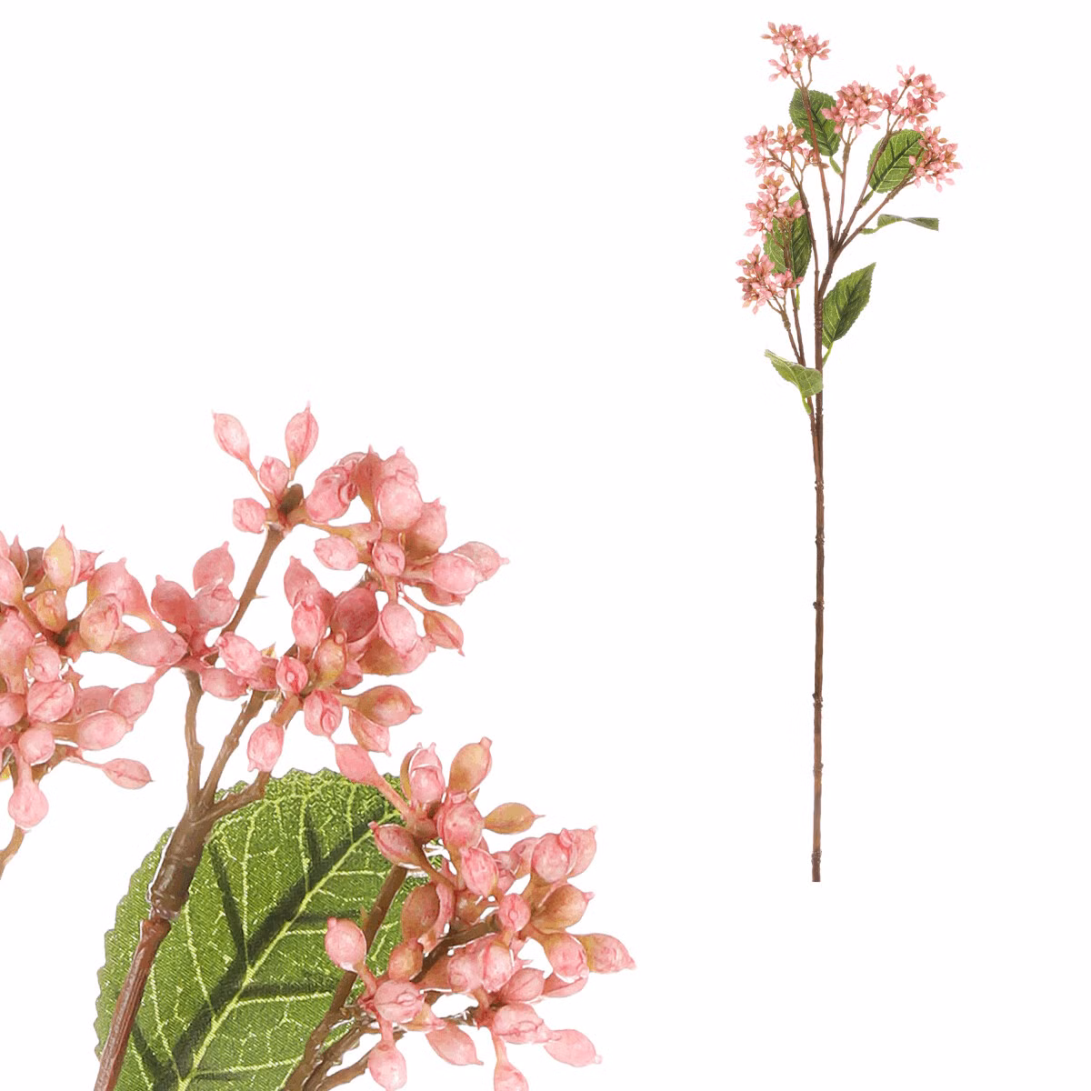 120f7af51f6b5d82fa411589168d6d02