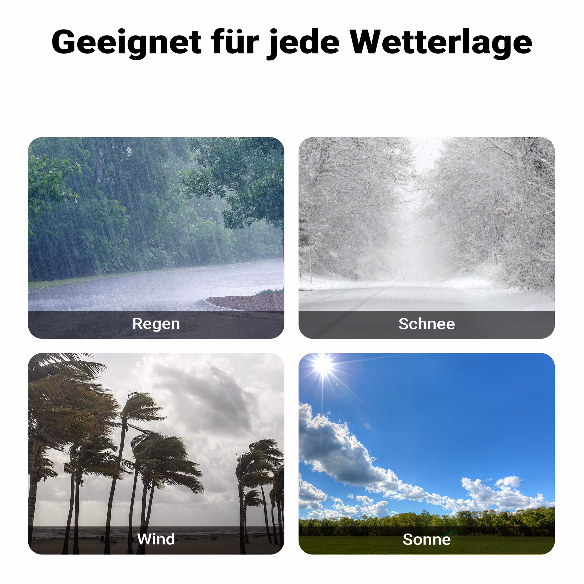 122e4196b3dc84d75fd8089a17ce1a2b