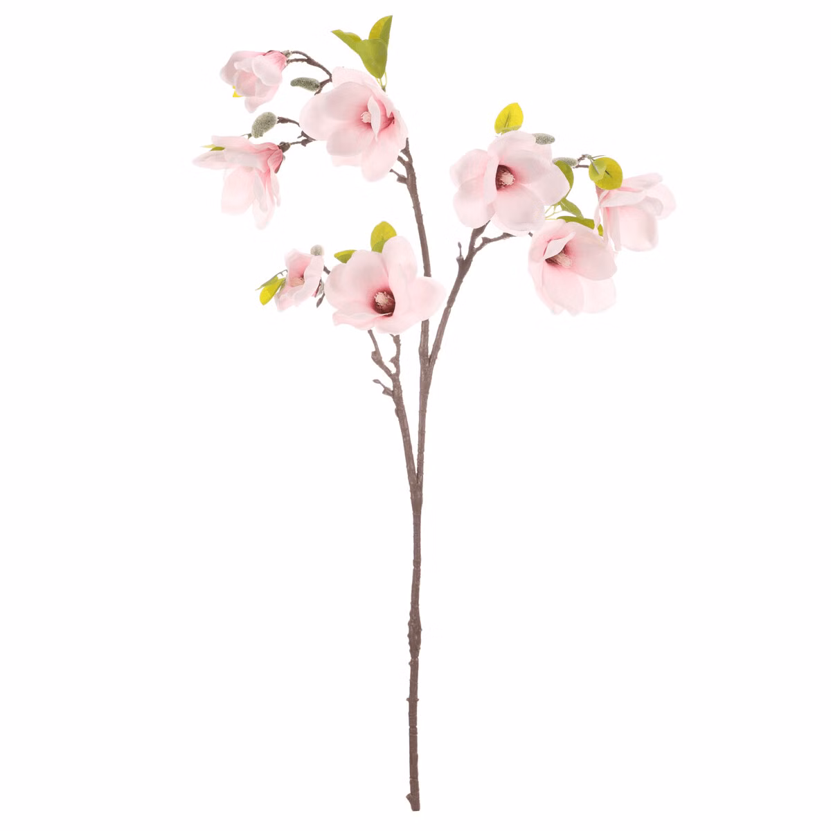 1322f84370071336af4e0f16ec444a81