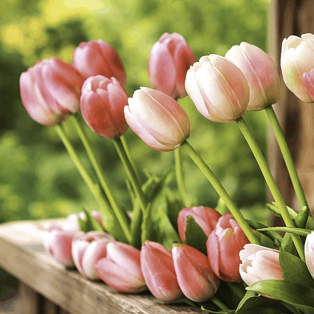 13366b42e87a2580a1900743bf7d6f81