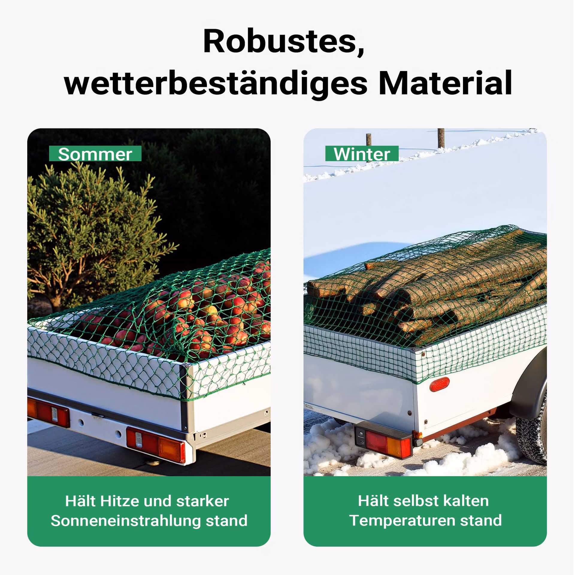 1337fefa32bacd601ff2264855847e65