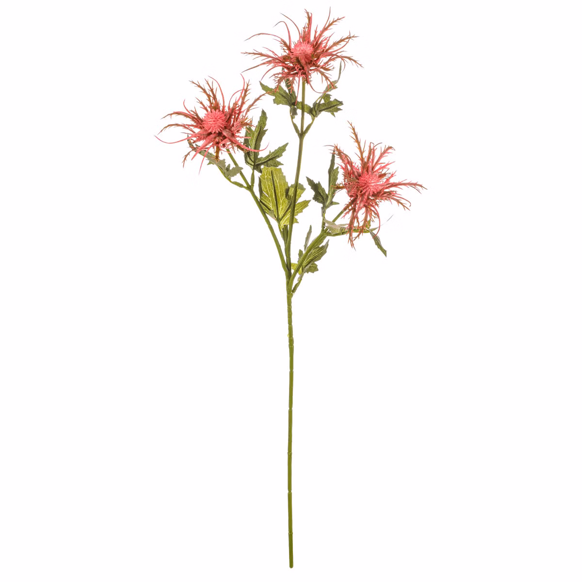 13446c7caec0573dcf866cfdd1886ef9