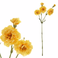 14fb97a3ed5c4dbf1fc39f3a0c37c0ed