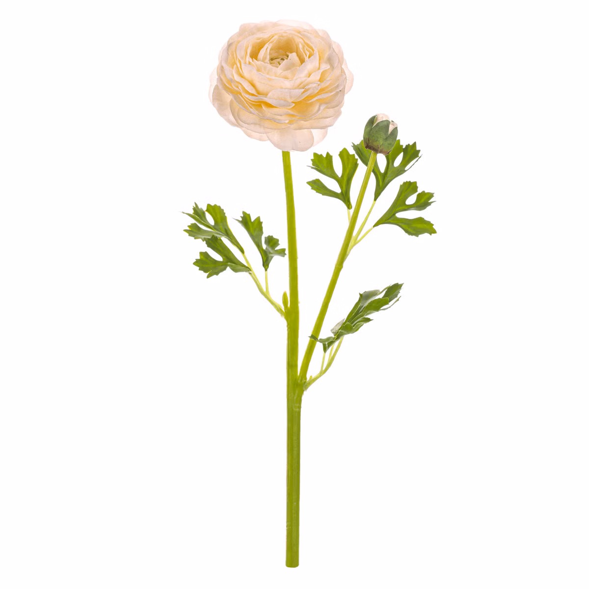 15223905d2479bed8cbd022ffcee5197