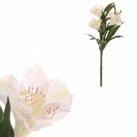 1529ab4bf9b825e2de15d2337edcd07f