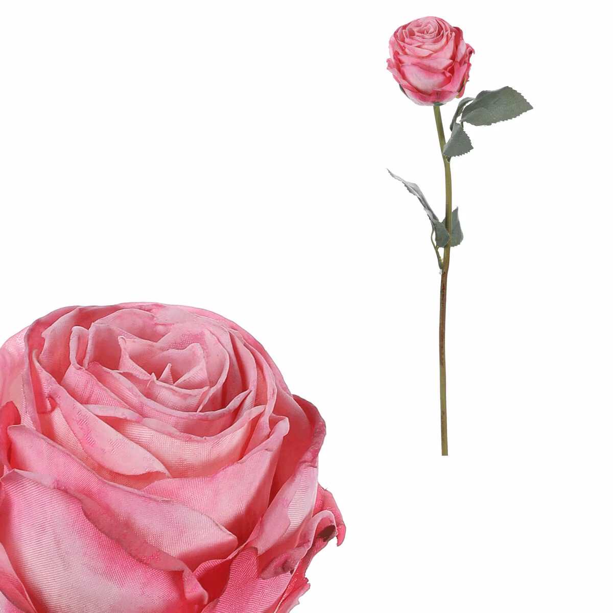 1663116170d2a9bbe75982990768d84c