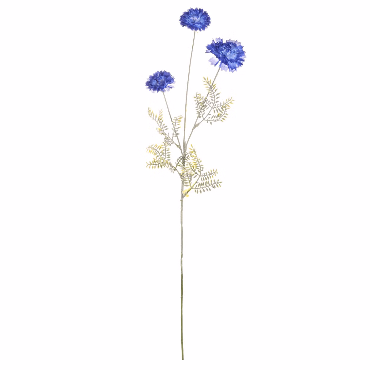 16e0e23e00533b833731e12d17548551