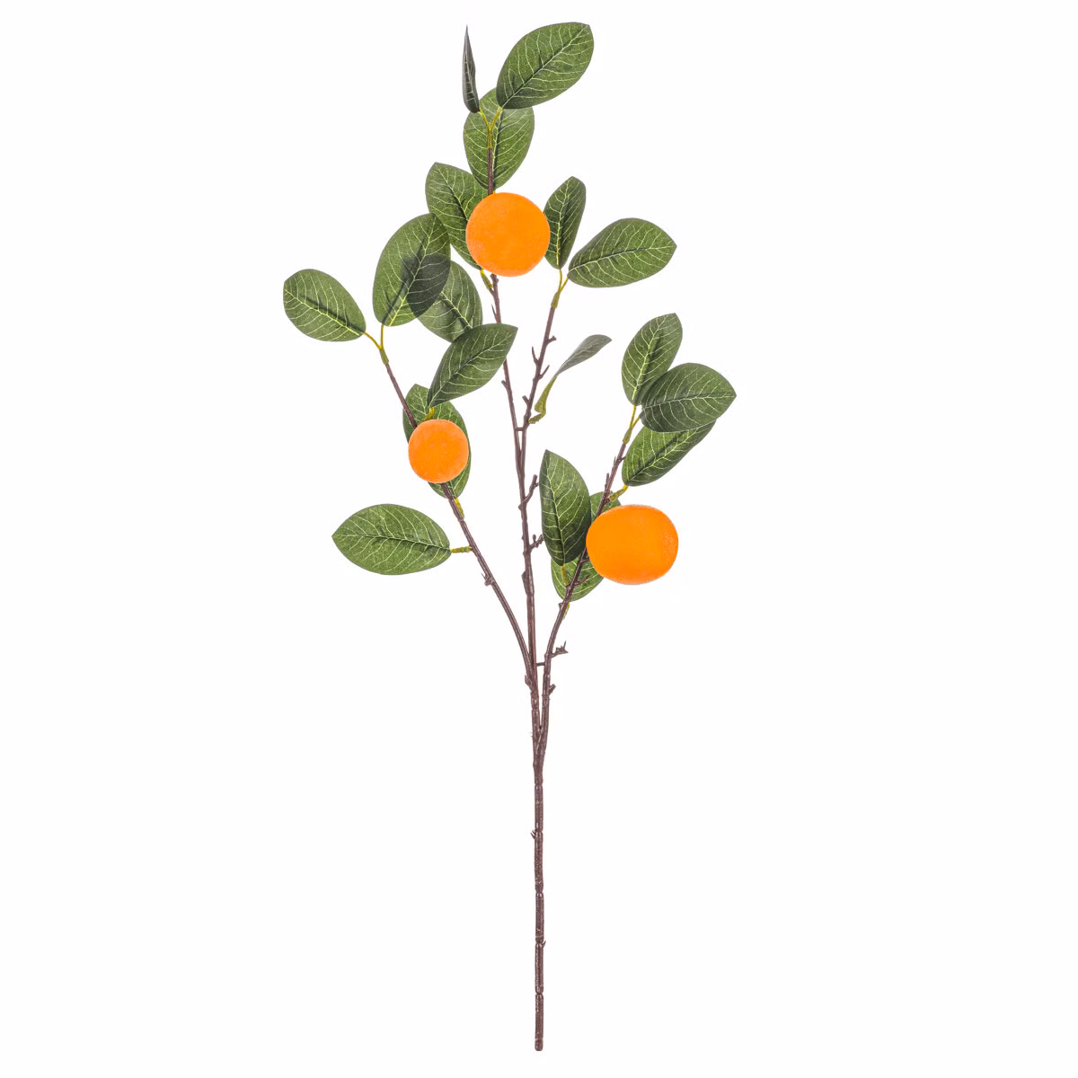 177a5f42da7b520d61a3a919661afefa