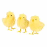1784c8bb355a203923175ce9b68c853f