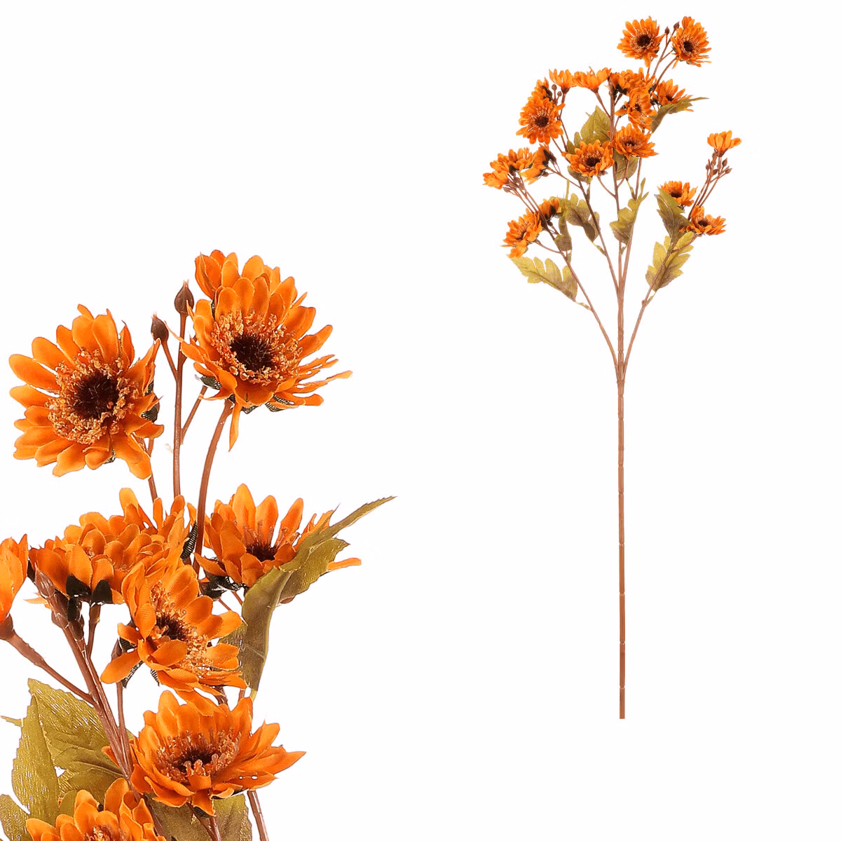 18072465dc1f539802e7afbfcda58db5