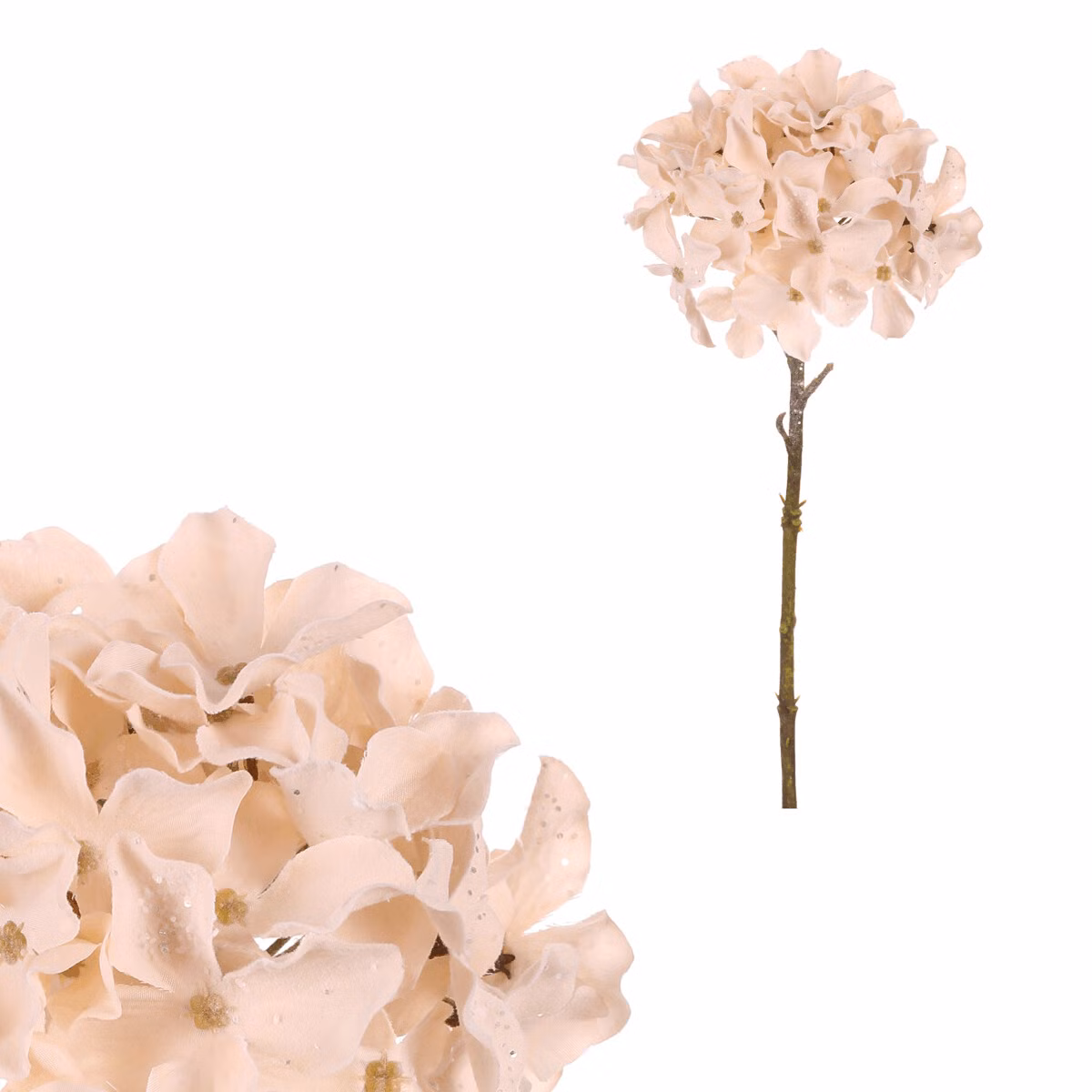 1856fc7c7fabf1eb7fe6e519b844544d