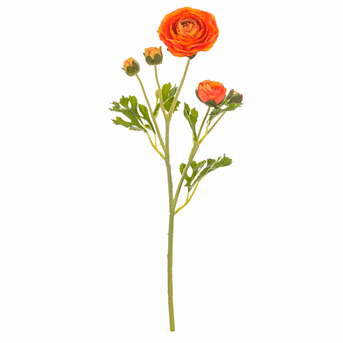 187f3b4c941ca364db651b07b6099ef1