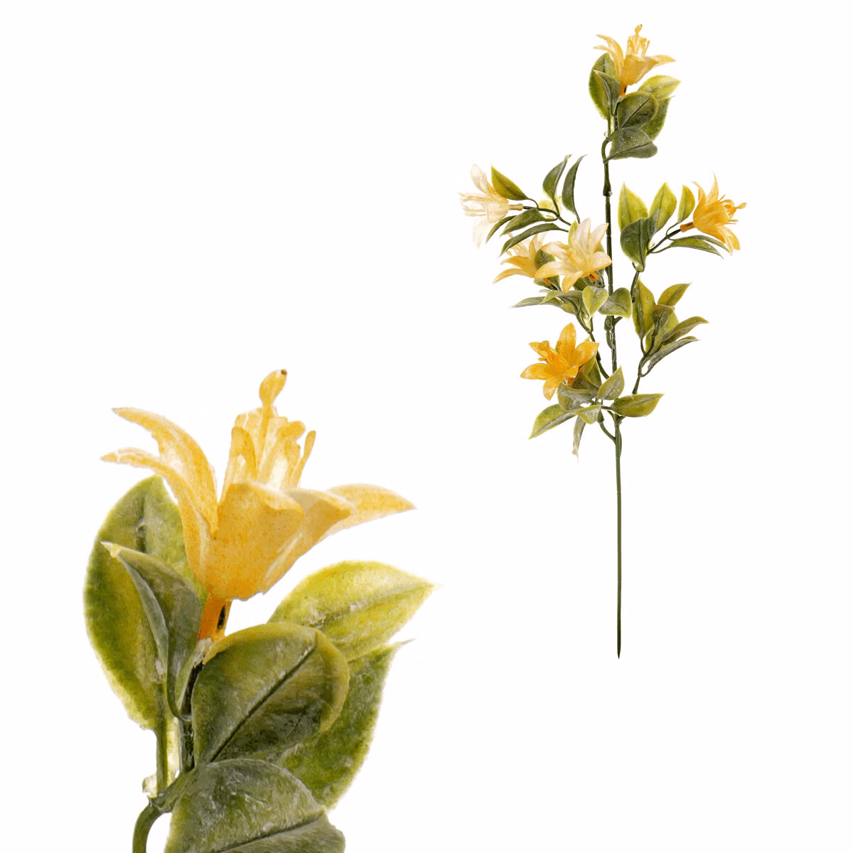 18f606294c7a88a981a0118d6d2c940a