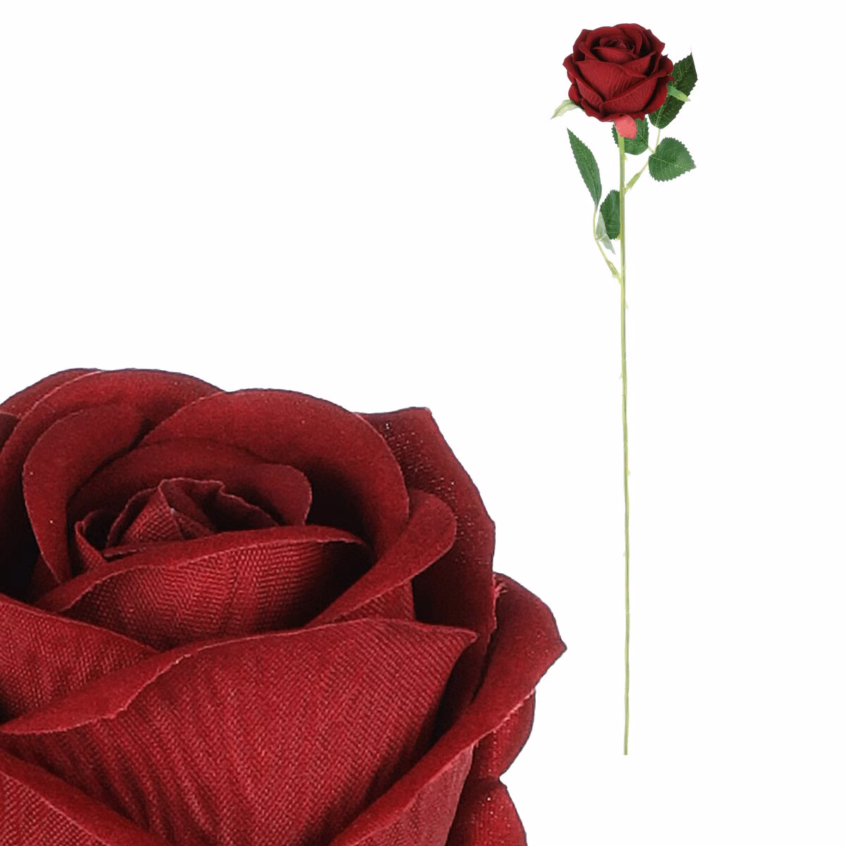 19d649cf56e79135bfb5ec5f892d04c4