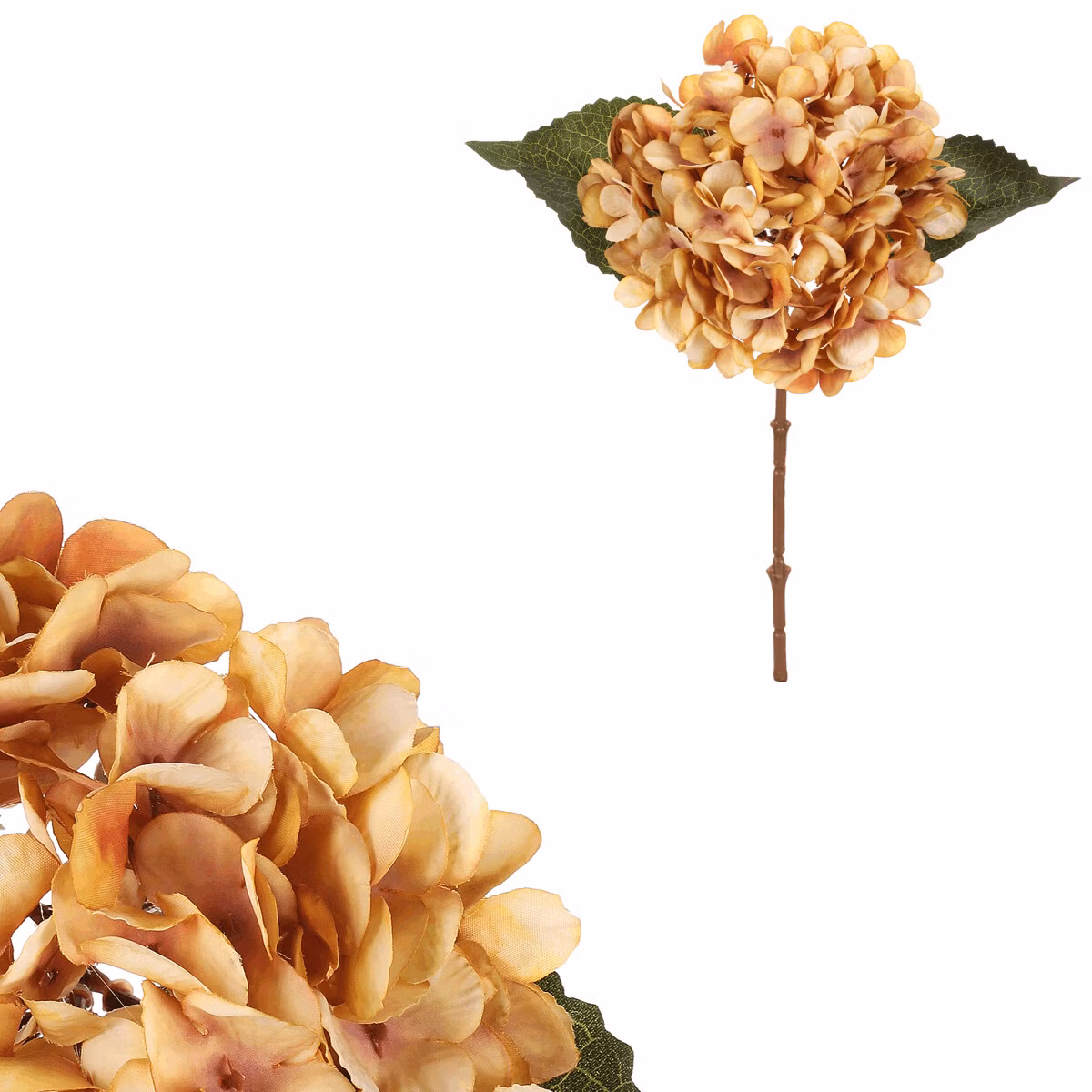 1c902963f3fb4b47c7f7ae6df98c4f43