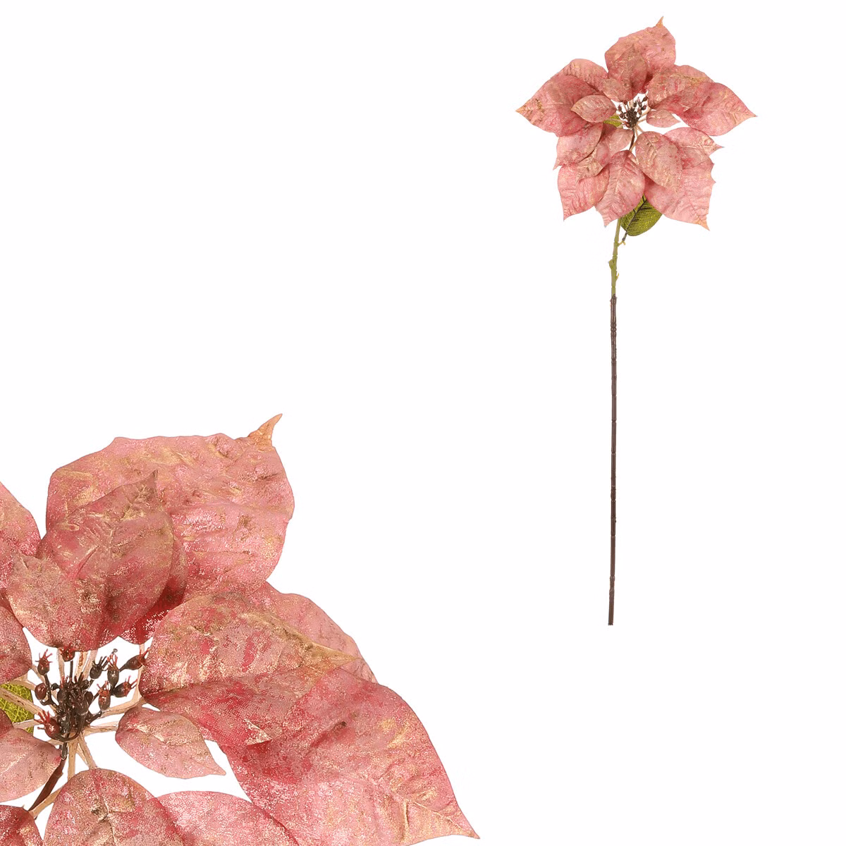 1d13c33b0c08834c59b809d04190a7e2