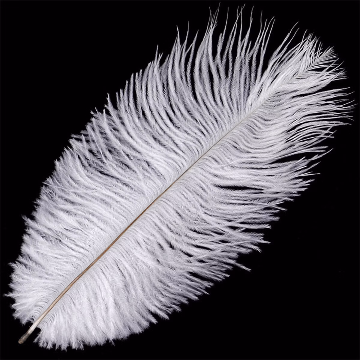 1d4cf067b1b9af097e1fa850b7a2e4e2