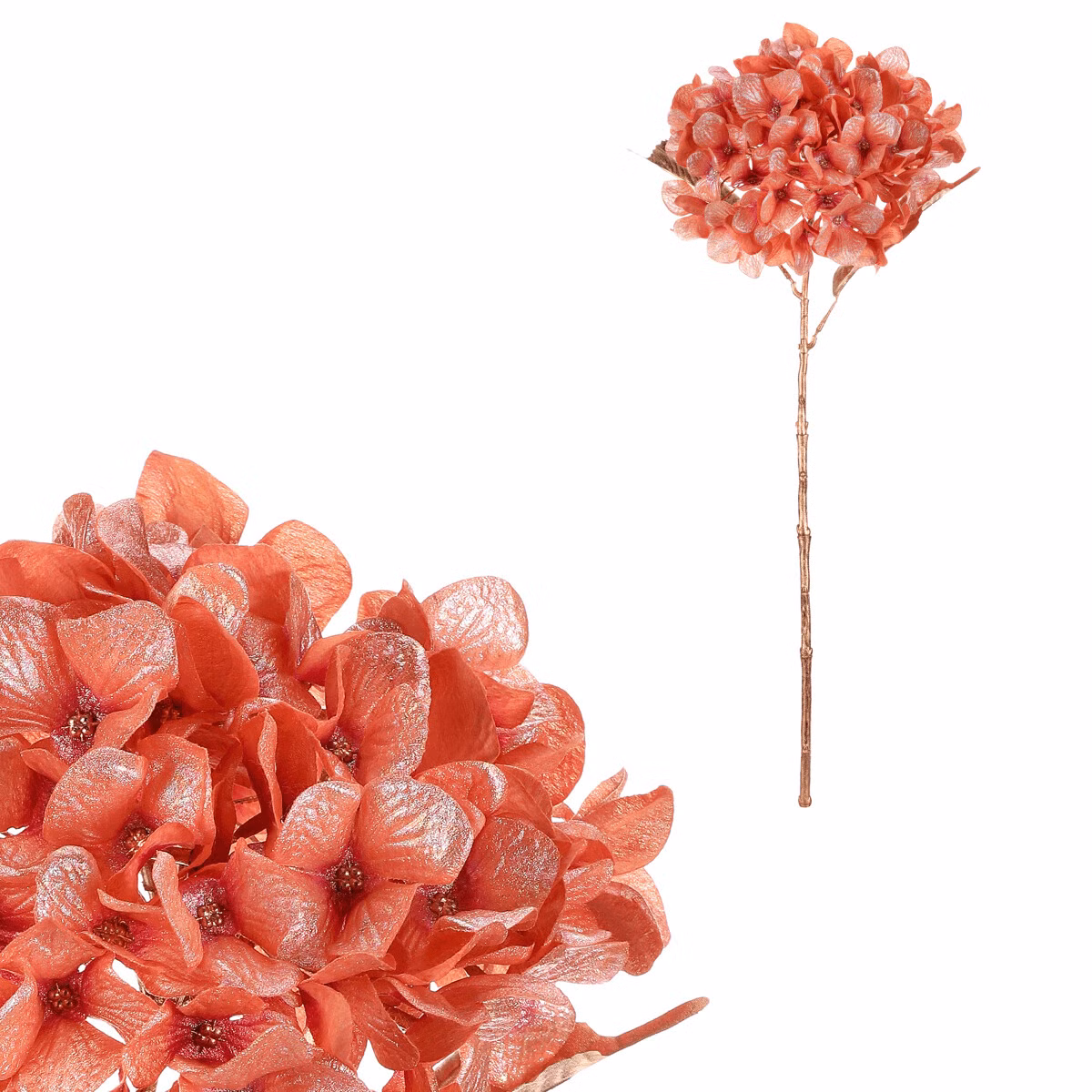 1ea9bed48e69c5fa47b627e3e37093d9