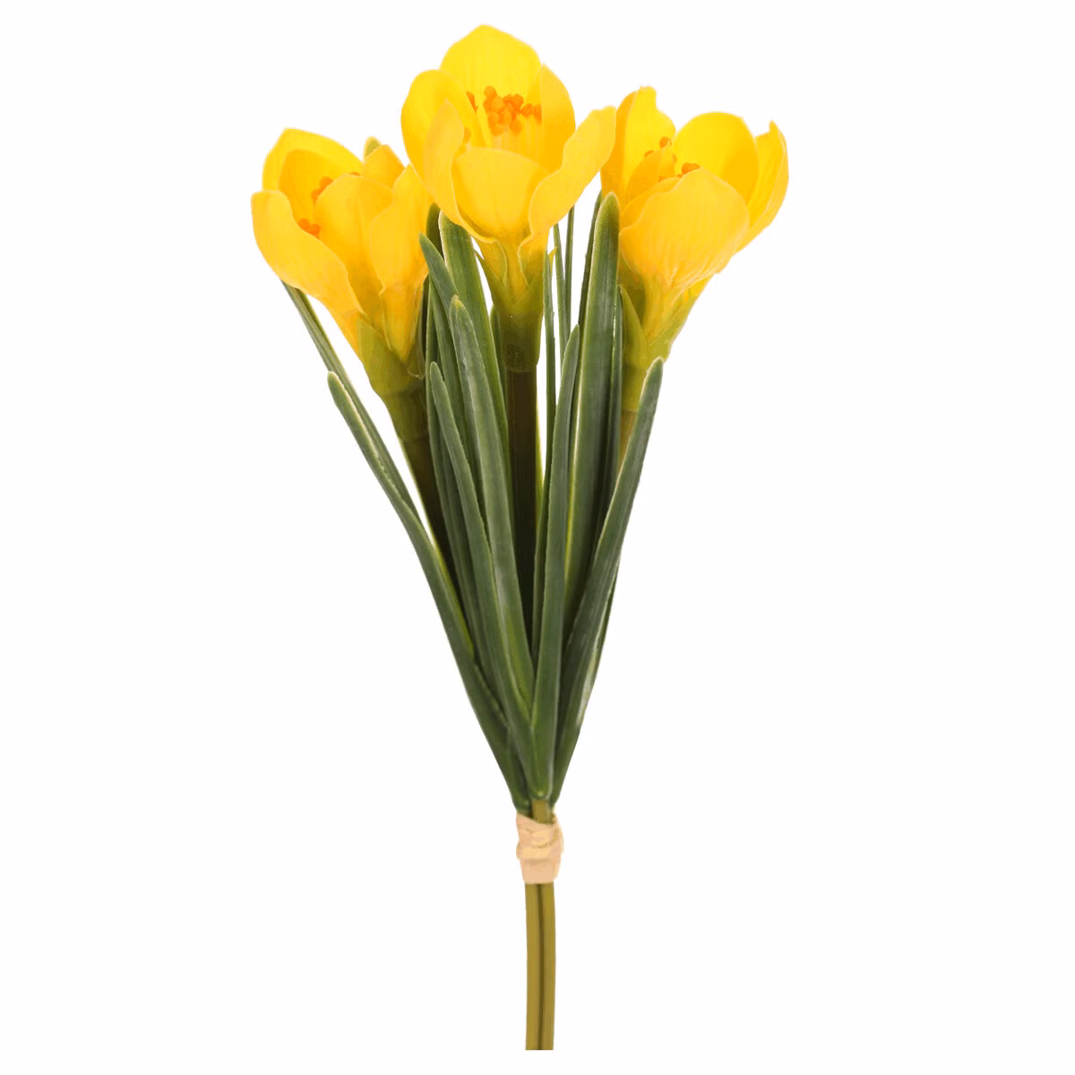 1ff749749457af3b05dd87ca76674a90