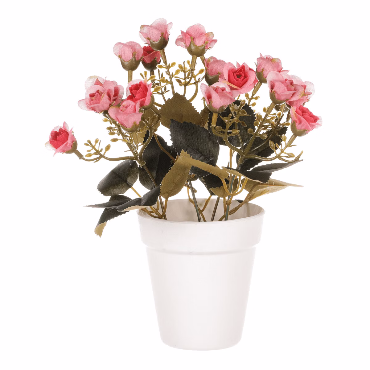 2095dfce2415c2d26d9c280e37a82c5e