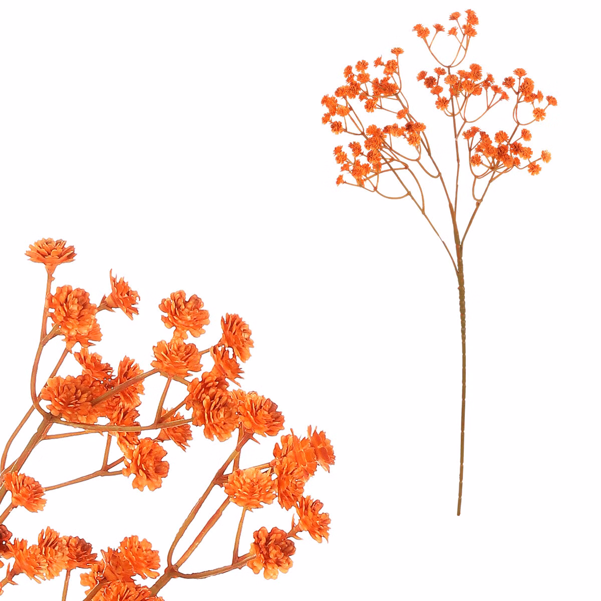 234842d595656280aec61afd89fb8ba3