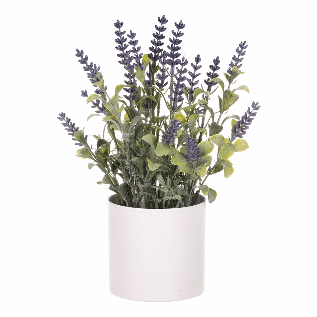 239e45573032830cc5e4d35a7a050fe3