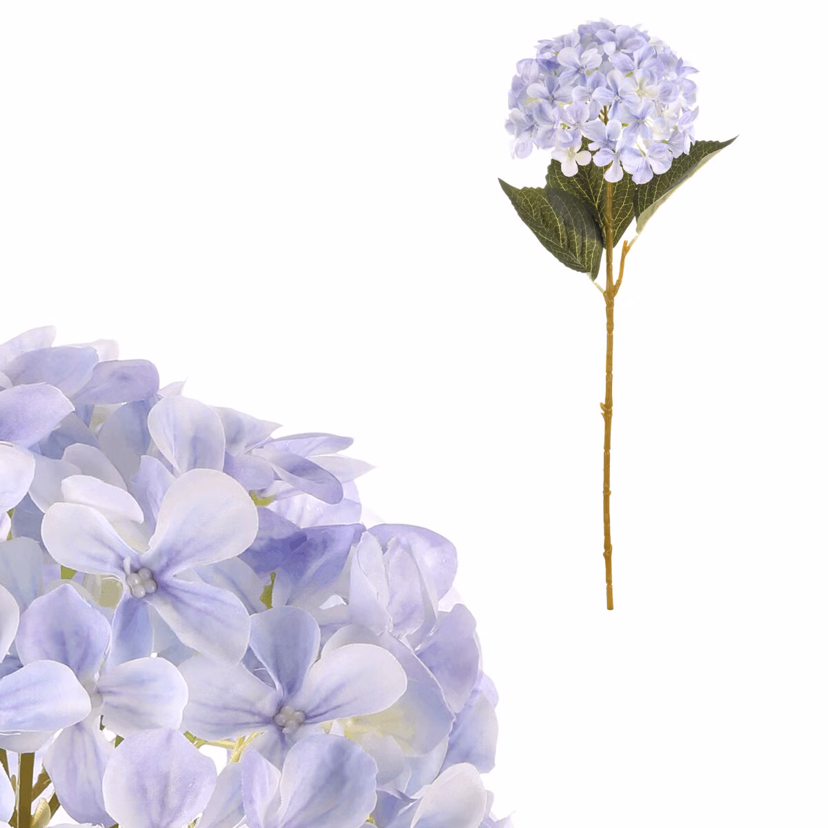 23a89b7772c8e8d35cca3a439b819455