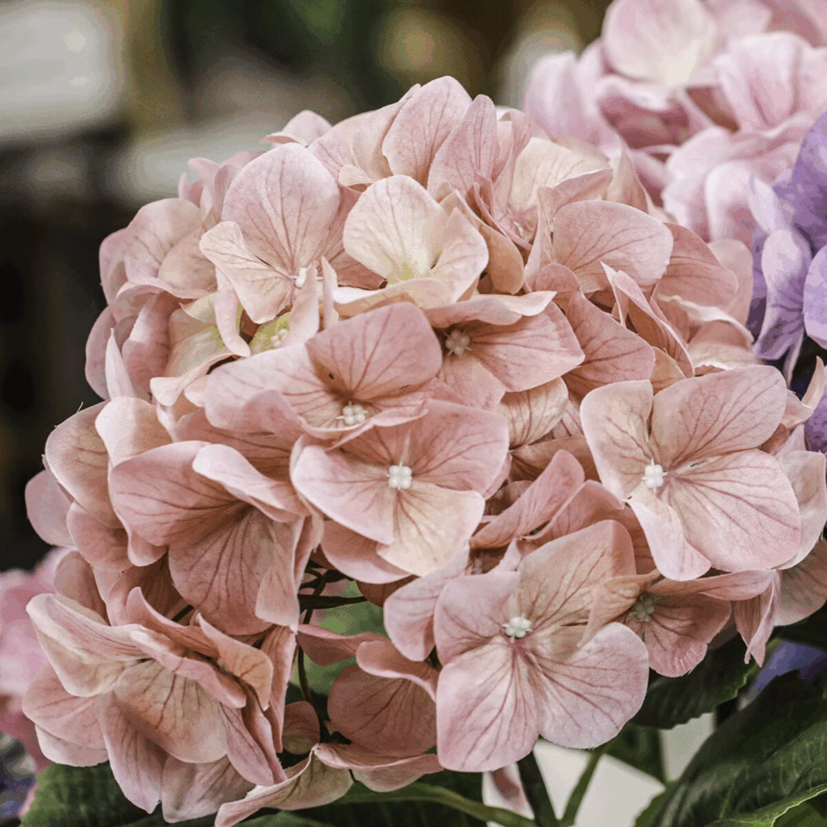 23dceef708354697908ac932b04ab144