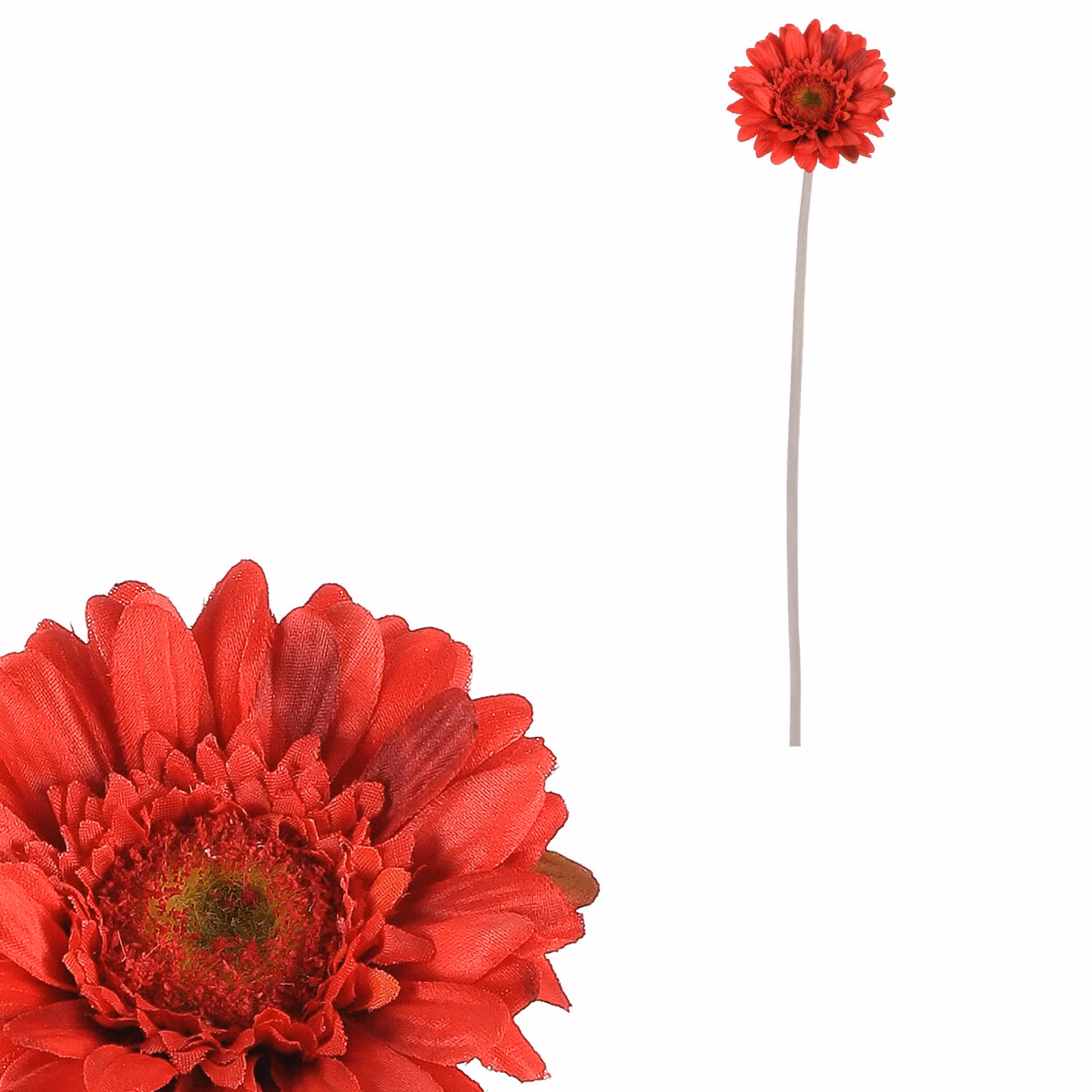 24c21193f448e212e64c6022a60470aa