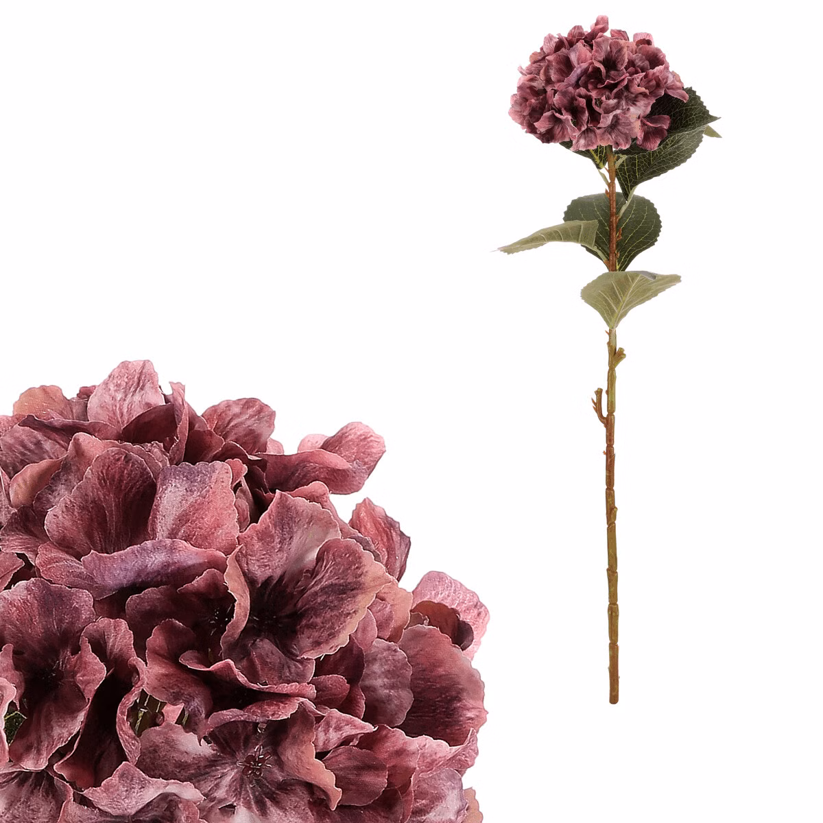 24d6443125b00d2efe77bce28561e909