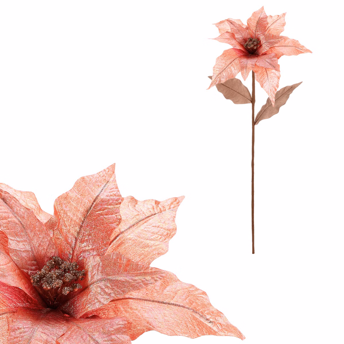 2536ce75a3d9694f9a72bdcd9aec584f