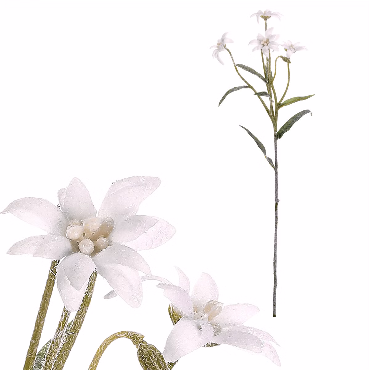 2581dfde565d56f3504a82acc889c6f9