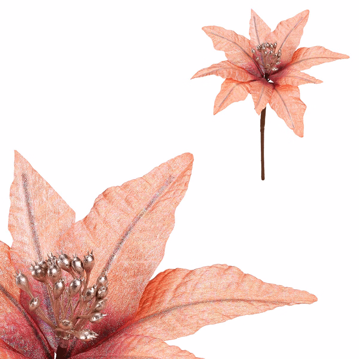 258c0590898ced9db80d4ded3c7f2fc6