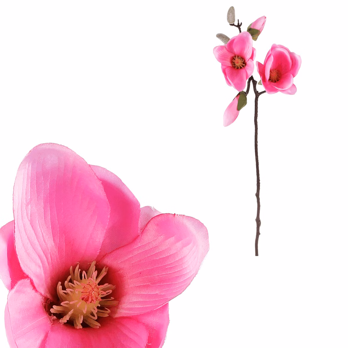 25b531b3e4cc0752f9a2ac79609269d5