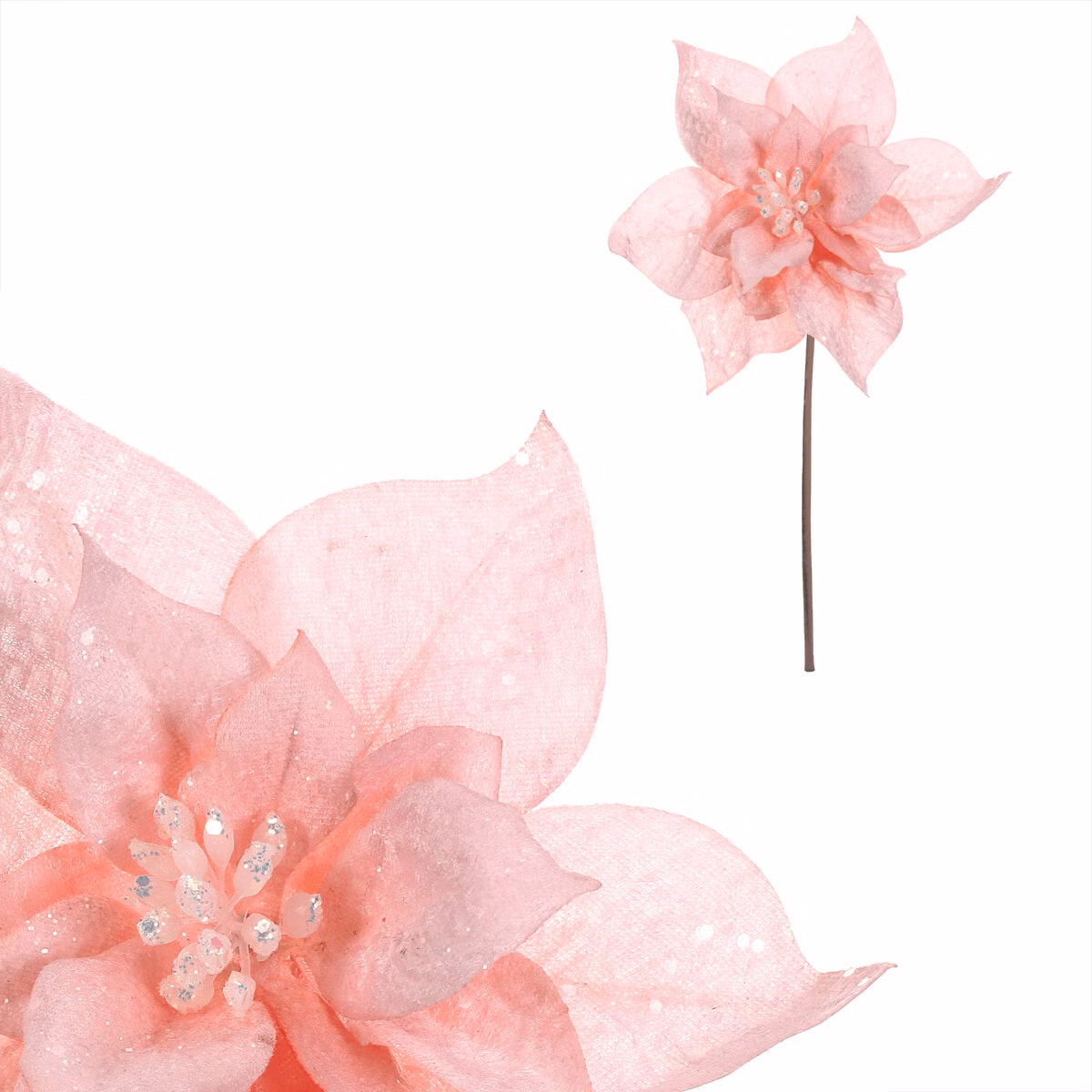 29ffdfbf83b02149607aab1350f3dd17