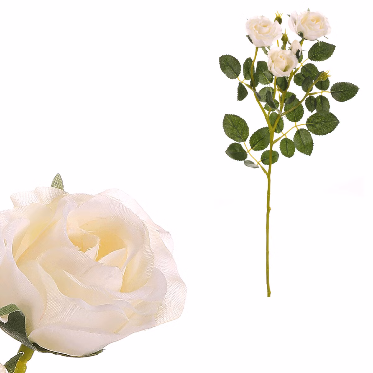 2bc6e5b9761acb4babe43f6cbc96c7c3