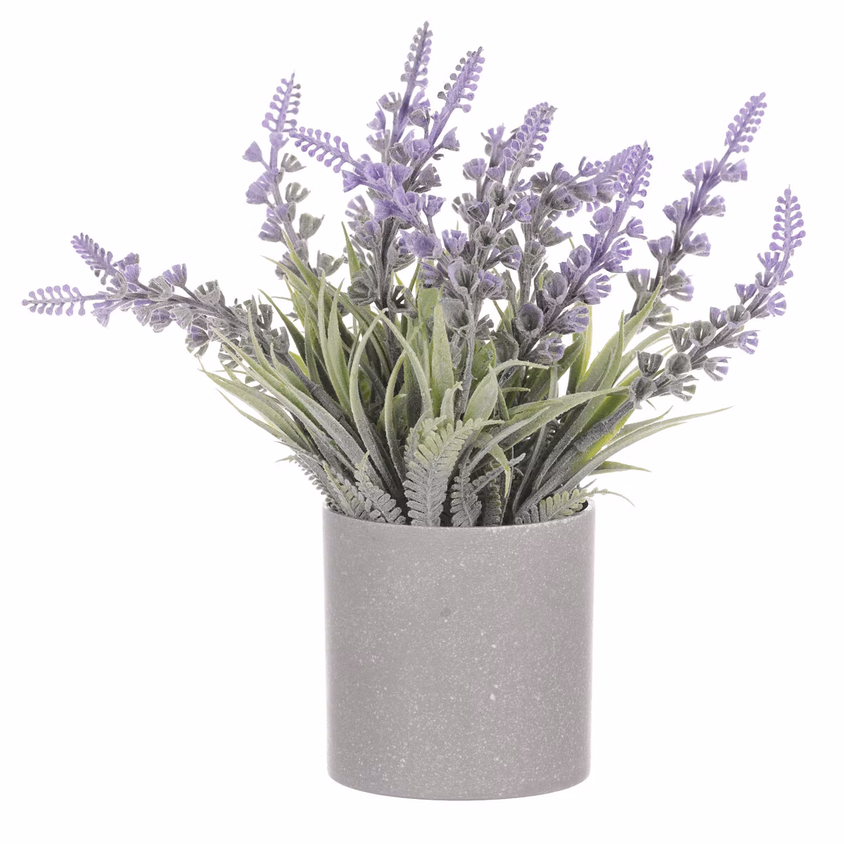 2c00f0693ae33436290eb6fc13732d3a