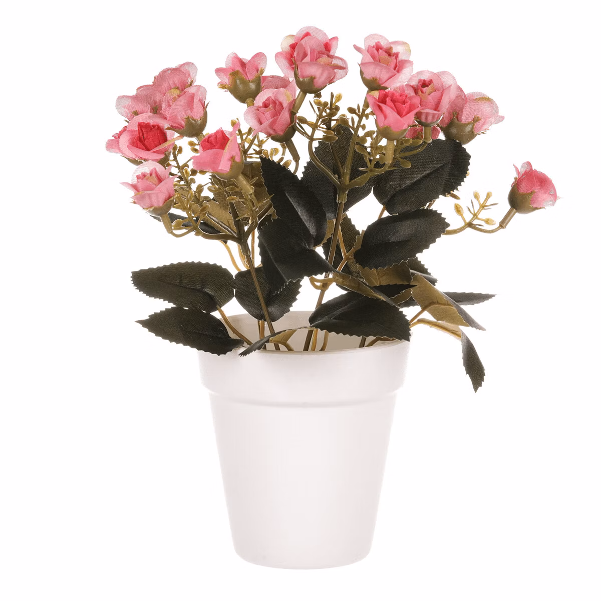 2c7859b1df39192f1ce86100b39a7ac6