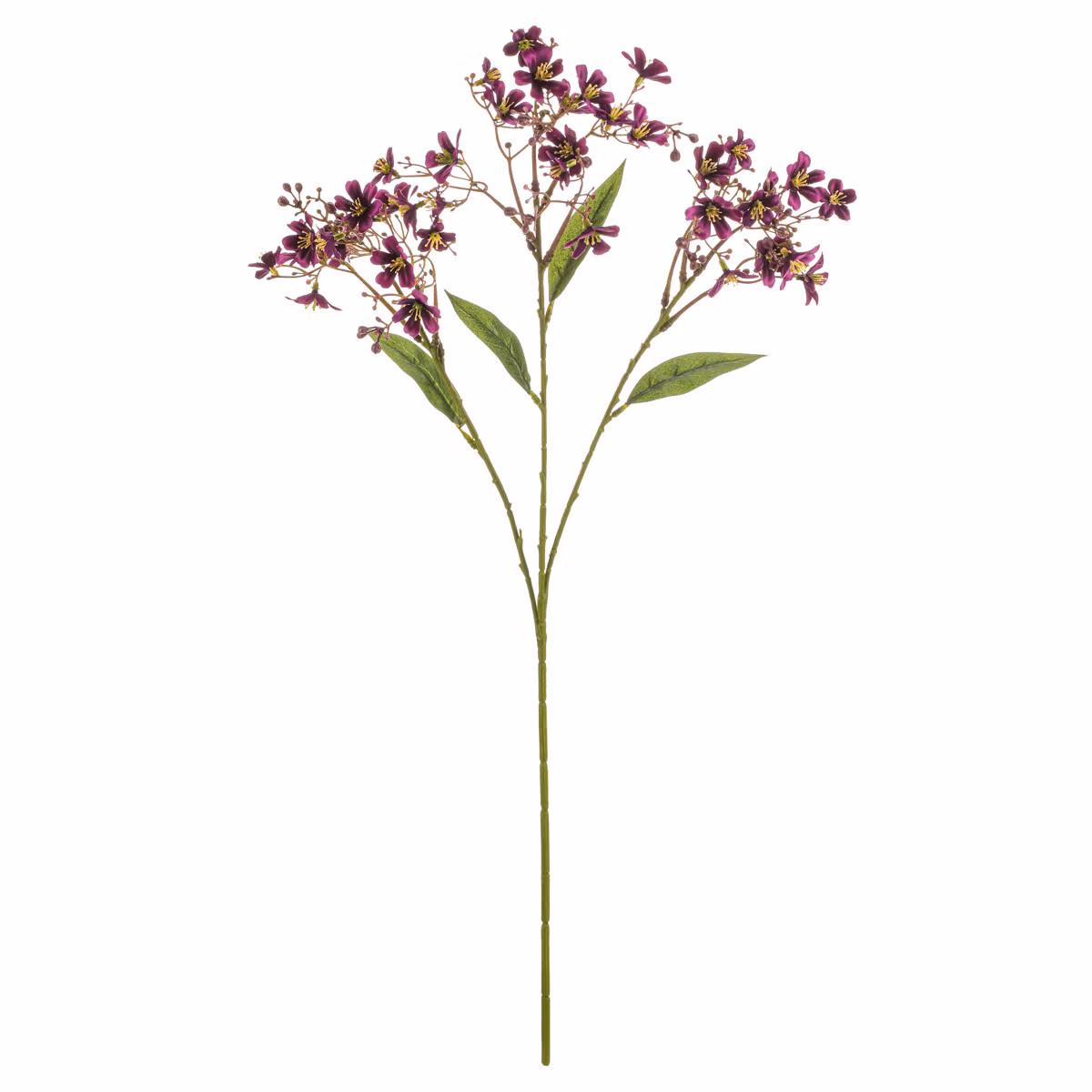 2d544b15416d9ed5068052a0f1c32cbe