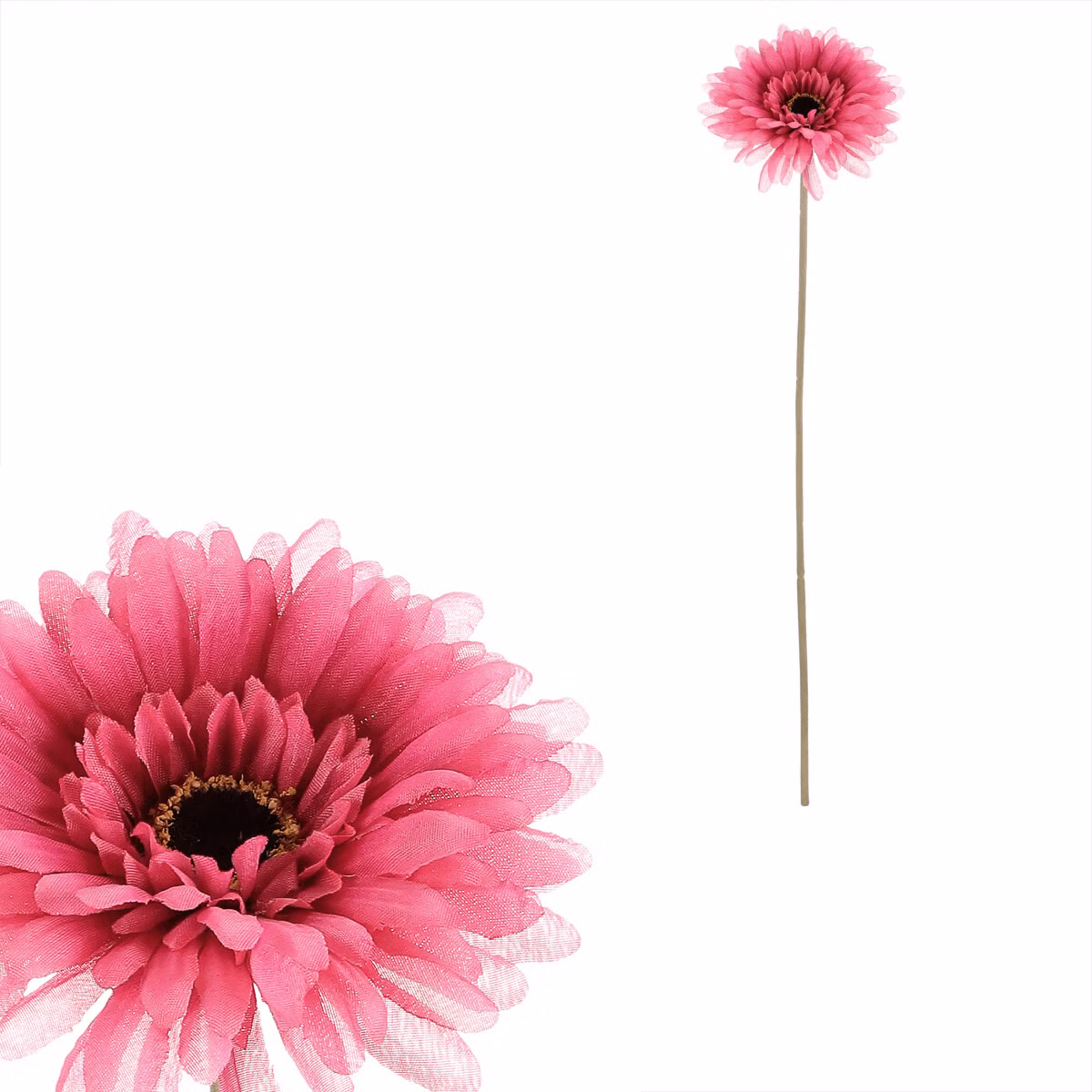 2df3ffa24bd61b0c0ee29acaf3448667