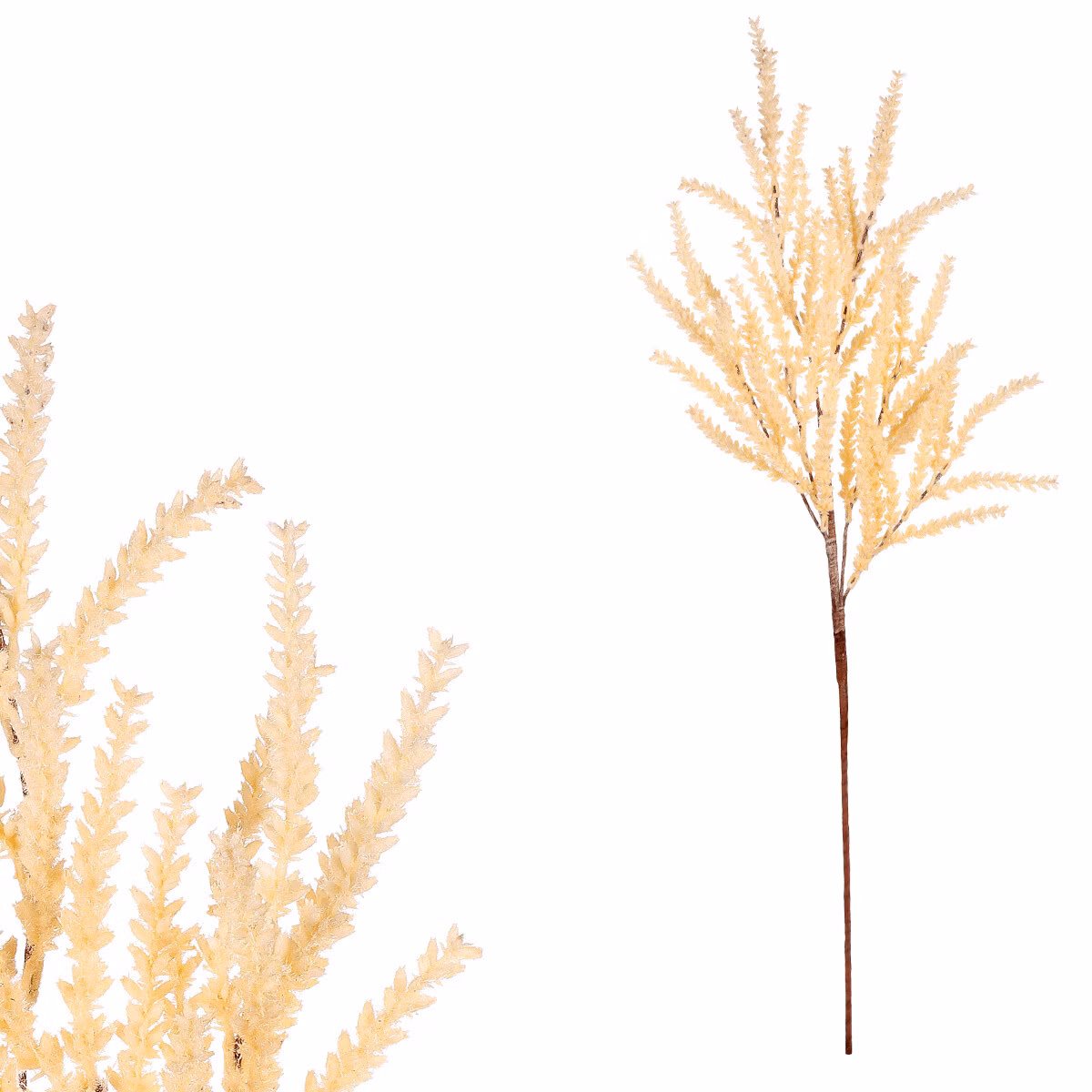 2e070785fe66e794b126d736420195e2