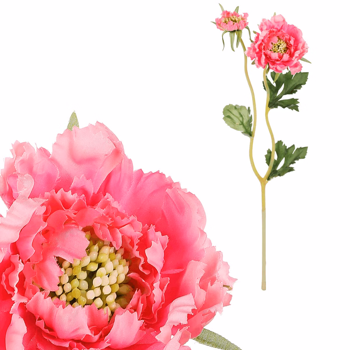 2e1314d509ae56bae83b3cd7e1db19c4