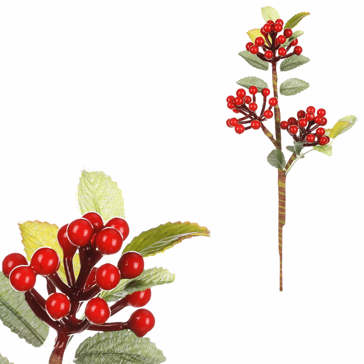 2e583fe029ae0fb37fe39d88c34392b9