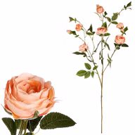 2e96a6399660cda7c62db9d0669fdbfe
