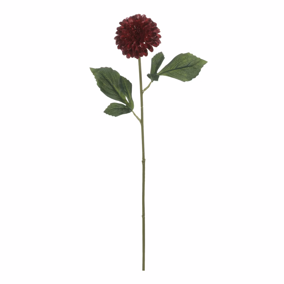 2ea48ab5a7f950a270ac57a47edf2392