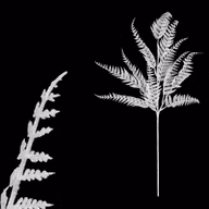 2f678b774df5f2bbca09c8ca514f2479
