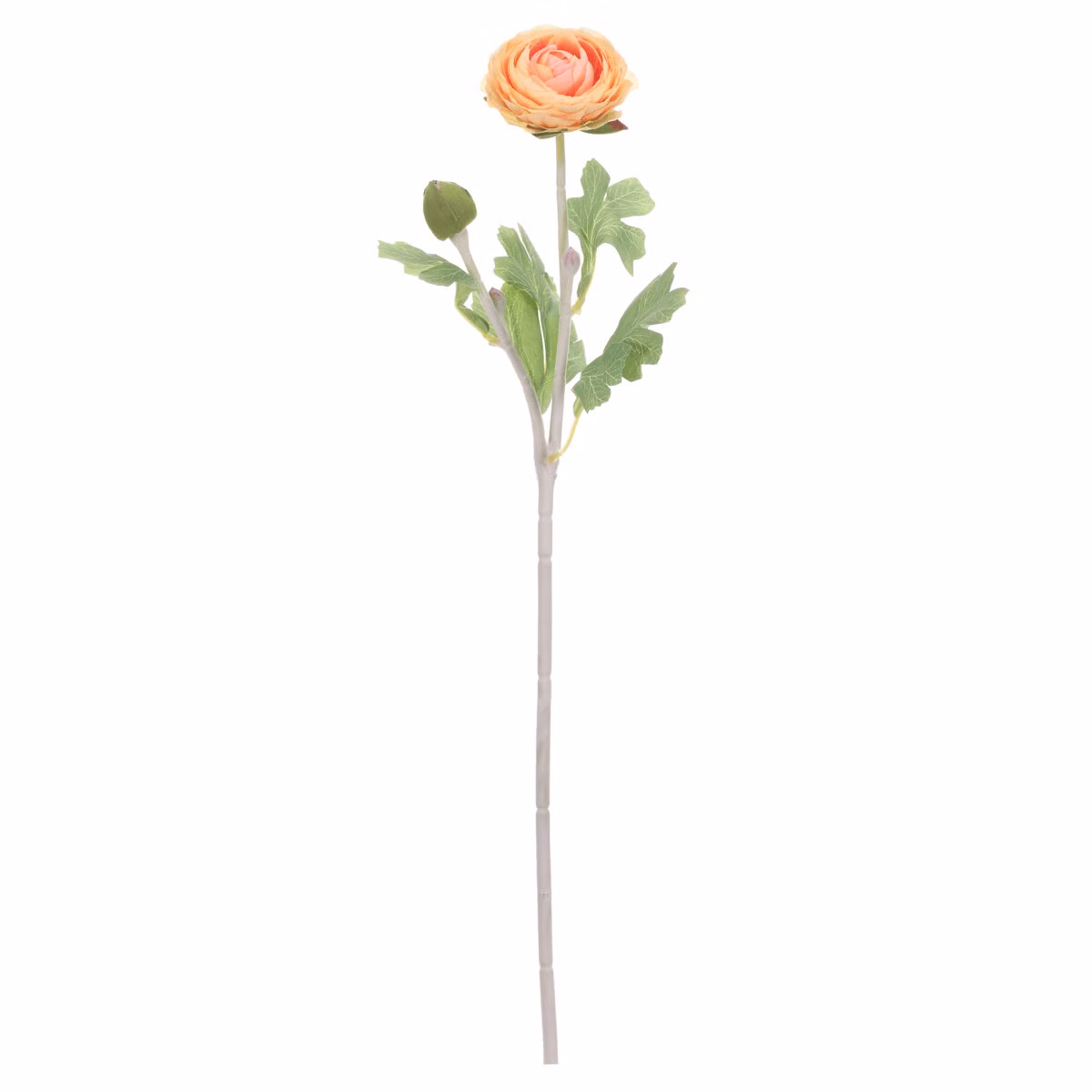 32c4d9c37856c01b89d08292161d5749